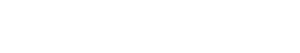 brandiza Logo 3